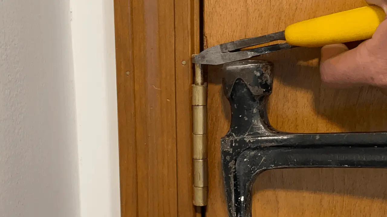 Removing a Door from the Hinges