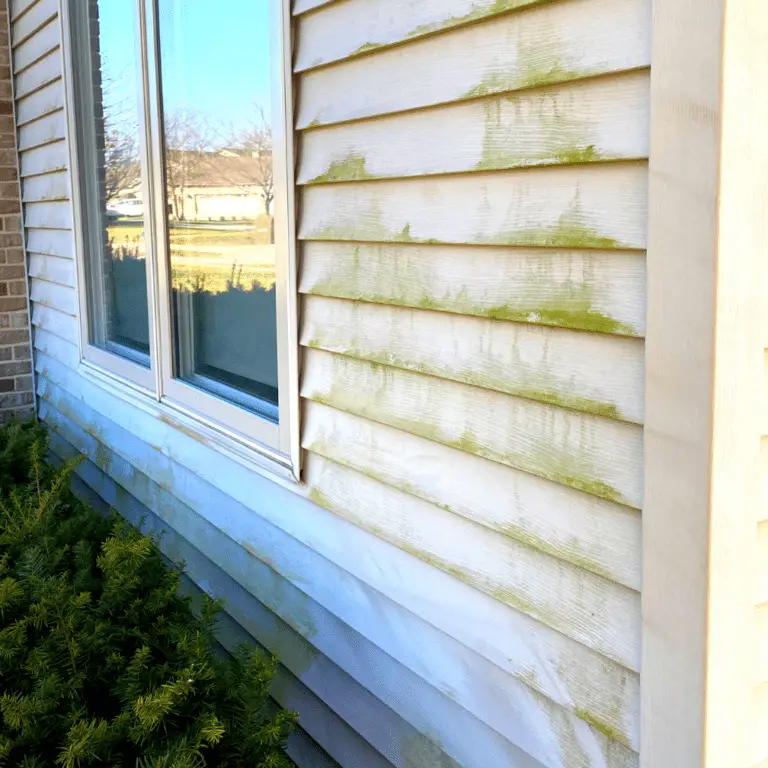 How to Remove Green Algae on Vinyl Siding 2 Ingredients