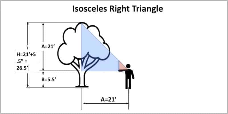 Easy Way to Estimate the Height of a Tree: the geometry