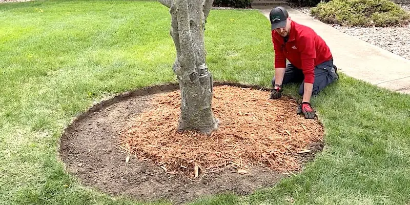 Mulch lower than grass helps keep it inside the circle