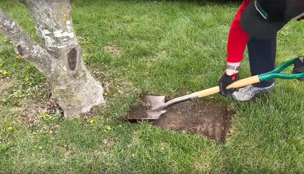 Removing the grass in narrow sections
